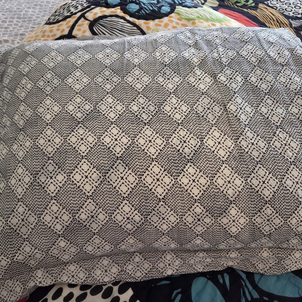 ANTHROPOLOGIE Laelia 2 Standard Pillow Sham NWOT - Picture 6 of 7